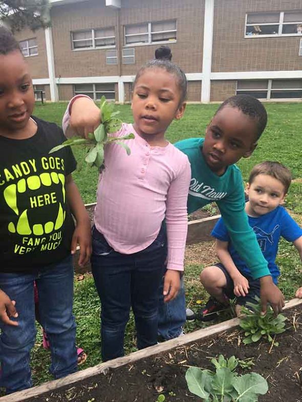 How to Make Weeding the Garden Fun - Kansas City Community Gardens