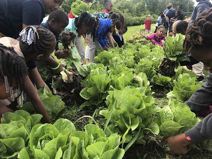 Fall Garden Workshop 1