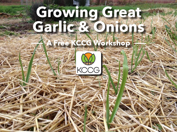 Growing-Great-Garlic-Web