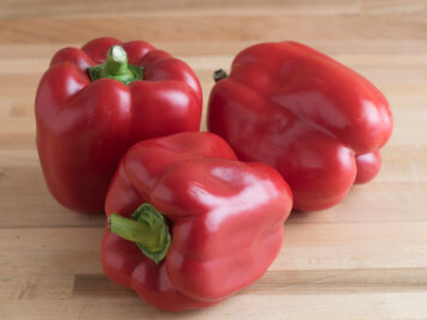 Red-Knight-Bell-Pepper