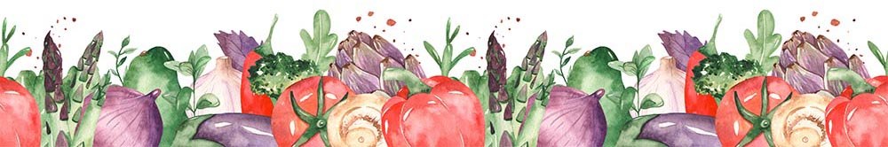 Vegetables and herbs in watercolor seamless borders on a white background