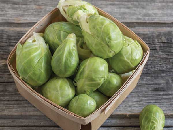 Brussel-Sprouts-Dagan