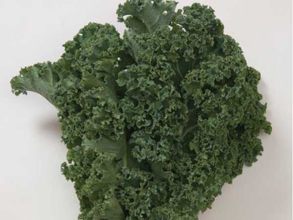 Kale-Winterbor