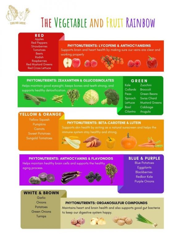 Phytonutrients: The Vegetable And Fruit Rainbow - Kansas City Community 