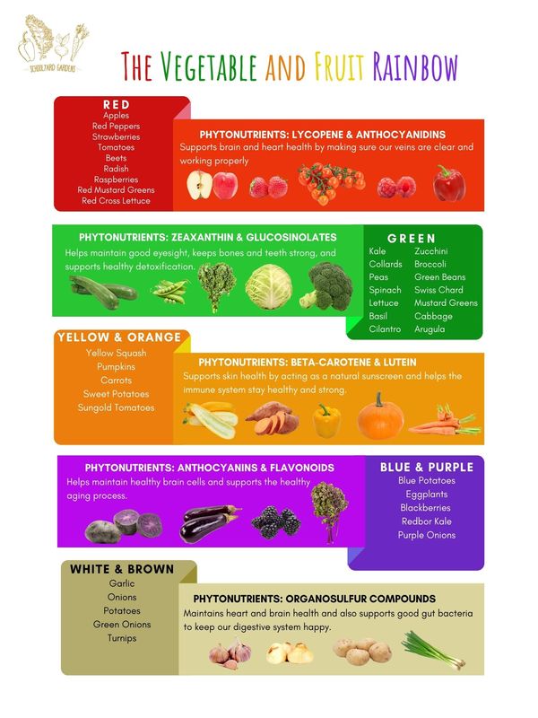 Legumes: A RAINBOW of nutrition