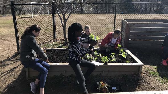 Get Growing: Planting Your Schoolyard Garden - Kansas City Community ...