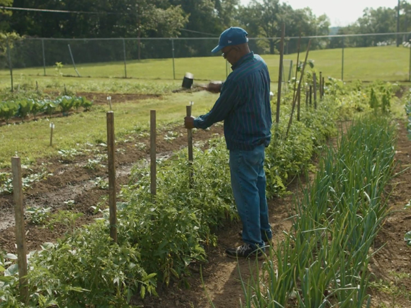 Garden-Management-4