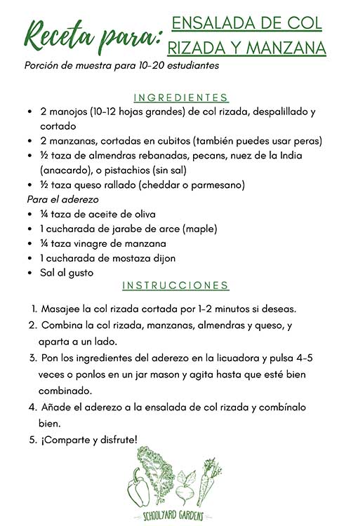SPANISH VERSION_SYG Kale Apple Salad Recipe Card