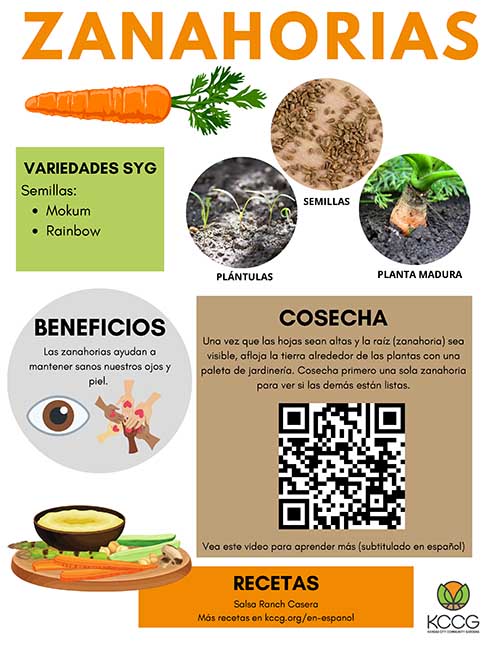 SPANISH_Garden Sign_Carrot