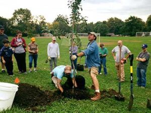 Kansas City Community Gardens