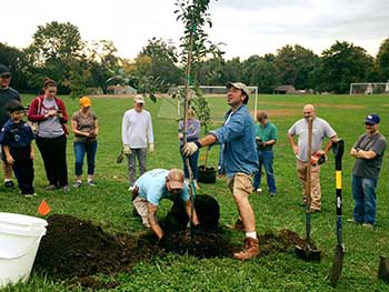 hands-on-fruit-tree