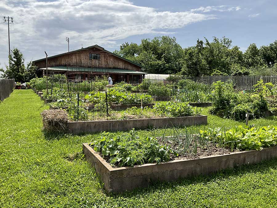 Community Gardens & Orchards