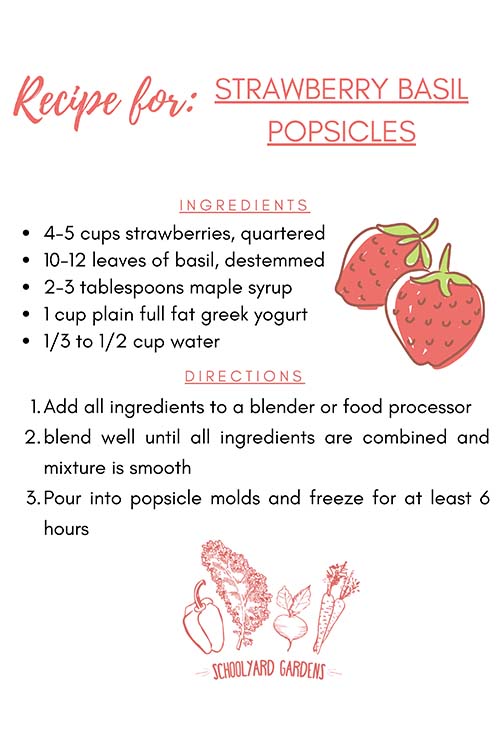 Strawberry Basil Popsicle Recipe Card