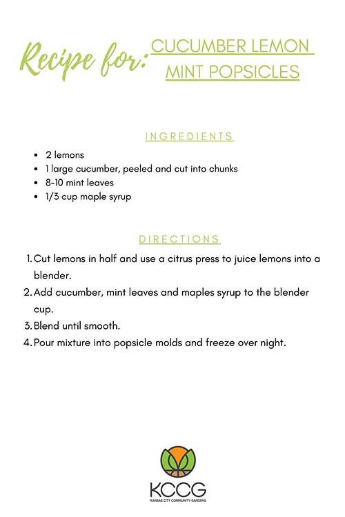 Cucumber Lemon Mint Popsicles Recipe Card