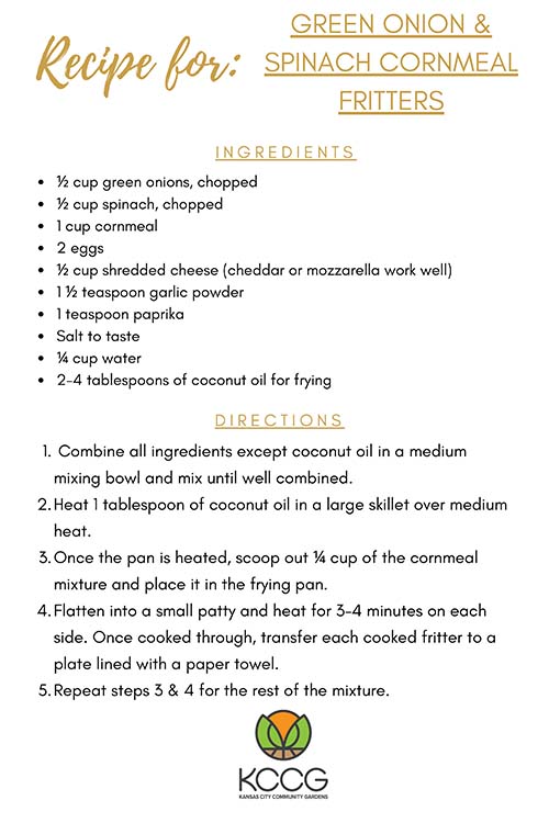 Green Onion & Spinach Cornmeal Fritters Recipe Card