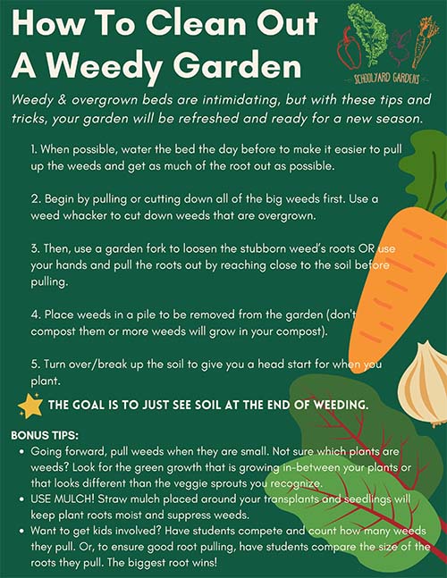 How To Clean Out Your Weedy Garden_Email