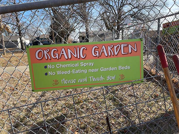 organic-gardening