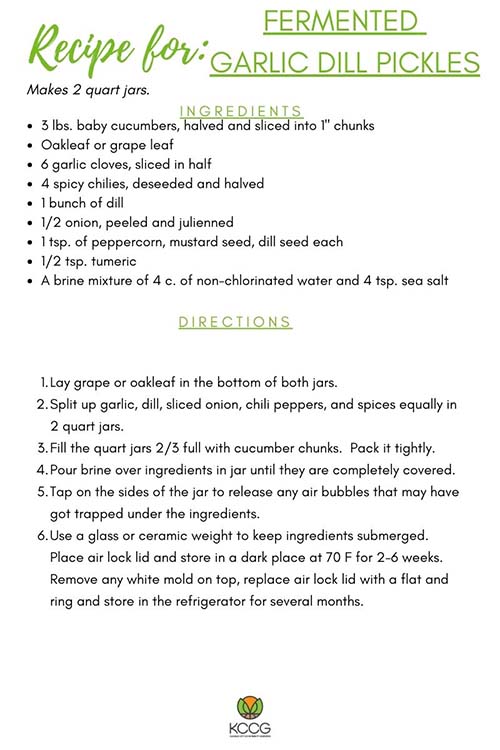 Fermentation Recipes – HP Kit Version (4)