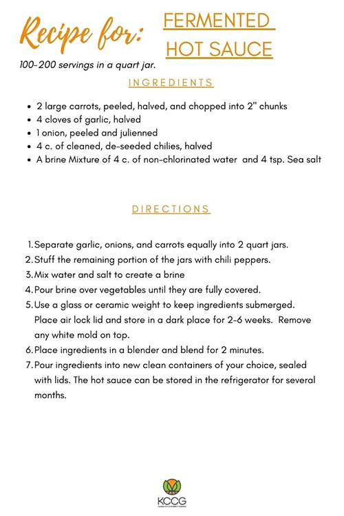 Fermentation Recipes – HP Kit Version (5)