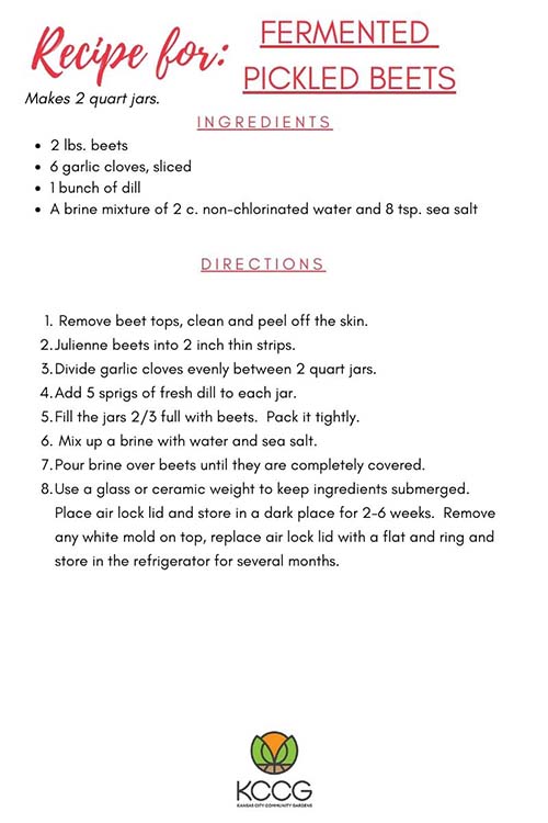 Fermentation Recipes – HP Kit Version (3)