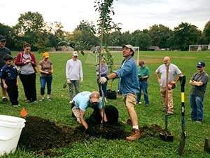 Orchard-Maintenance