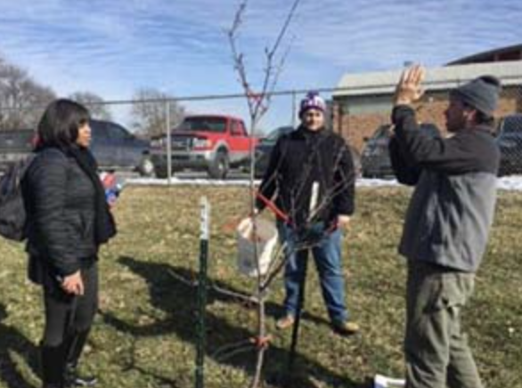 Hands-On-Pruning