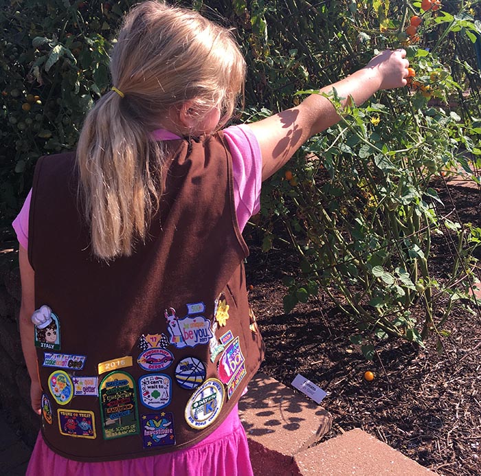 girl-scout-web